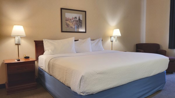 1 King Bed Non-Smoking Photo 1